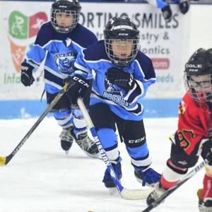 Meet your Posher, Yunny